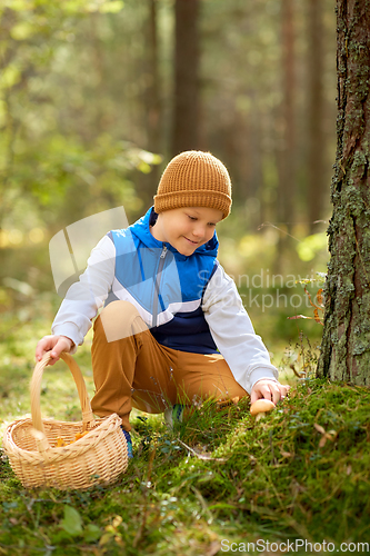 Image of happy boy with basket picking mushrooms in forest