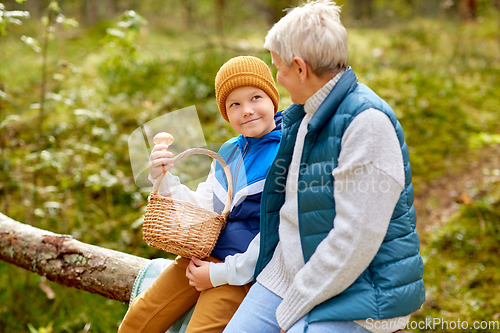 Image of grandmother and grandson with mushrooms in forest