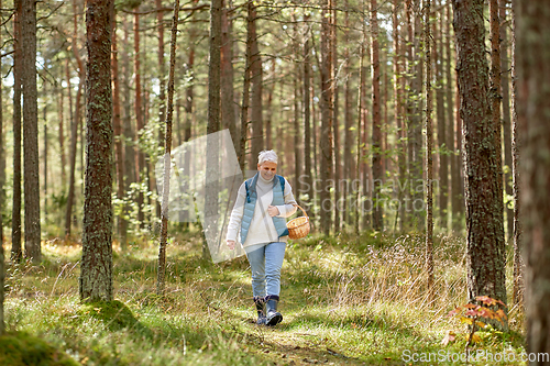 Image of senior woman picking mushrooms in autumn forest