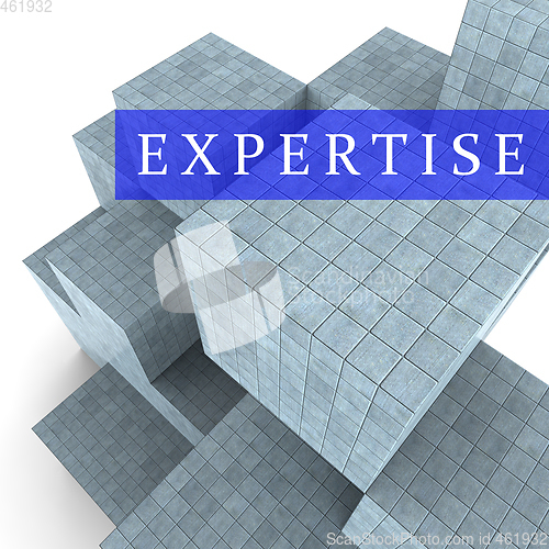 Image of Expertise Blocks Represents Master Skills 3d Rendering