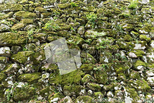 Image of Old stone wall overgrown with moss