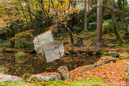 Image of Japanese temple in autumn season