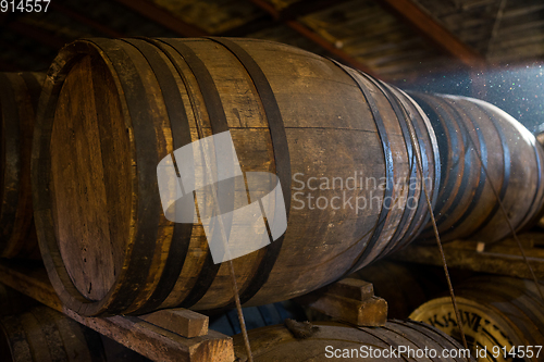 Image of Barrels for storage of wine with sunlight