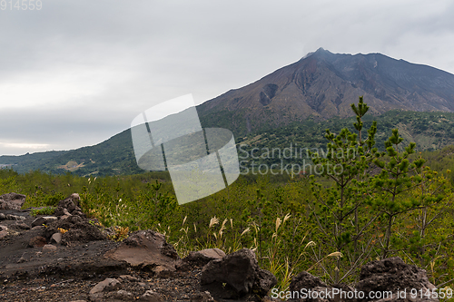 Image of Sakurajima in Japan