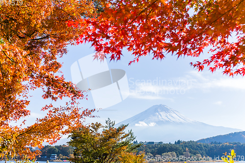 Image of Maple leaf and Mt.Fuji