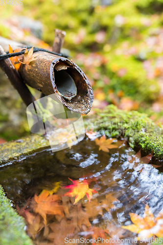 Image of Japanese bamboo ladle in Japanese Temple