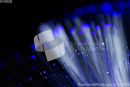 Image of Bunch of optical fibres