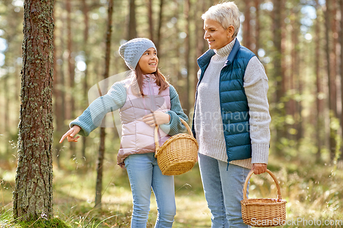 Image of grandmother and granddaughter picking mushrooms