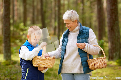 Image of grandmother and grandson with mushrooms in forest