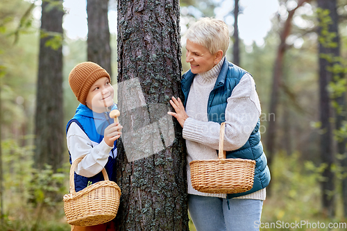 Image of grandmother and grandson with mushrooms in forest