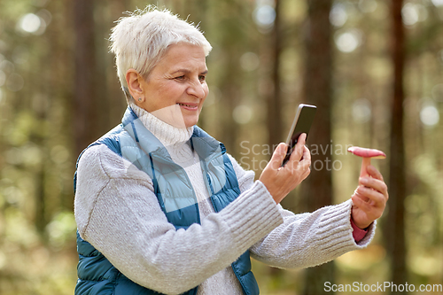 Image of senior woman using smartphone to identify mushroom
