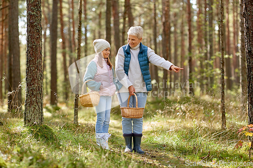 Image of grandmother and granddaughter picking mushrooms