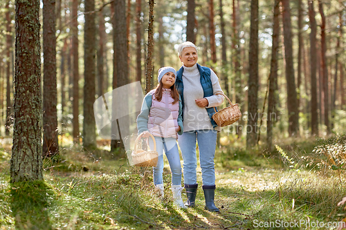 Image of grandmother and granddaughter picking mushrooms