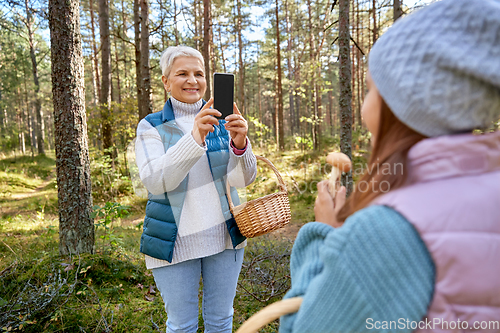 Image of grandma photographing granddaughter with mushrooms