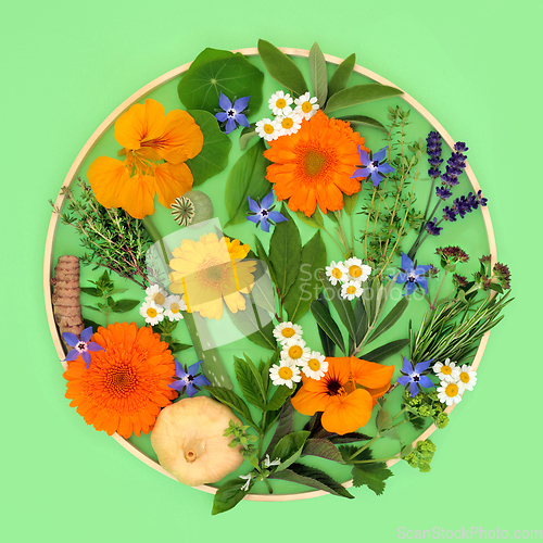 Image of Herbs and Edible Flowers Healthy Food Seasoning