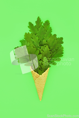 Image of Surreal Summer Oak Tree Leaf Ice Cream