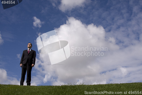 Image of Businessman in the field