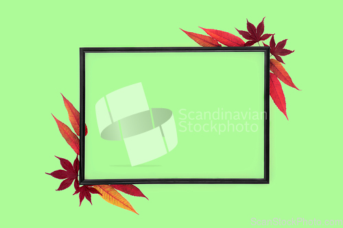 Image of Autumn Leaf Natural Abstract Frame wiyh Rhus Typhina Leaves