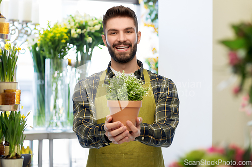 Image of happy male seller with plant at flower shop