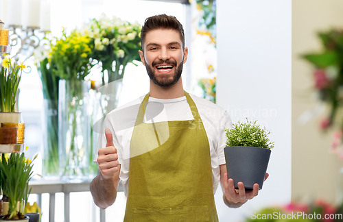 Image of happy male seller with flower showing thumbs up