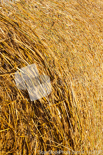 Image of ,details of straw