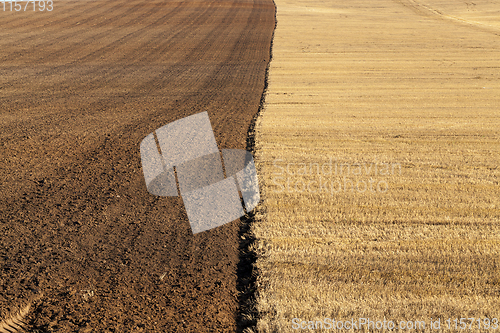 Image of plowed half field