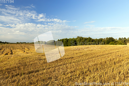 Image of agricultural field