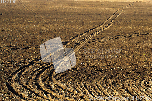 Image of plowed agricultural field