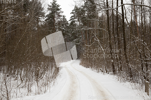 Image of winter landscape