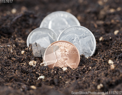 Image of growing American coins