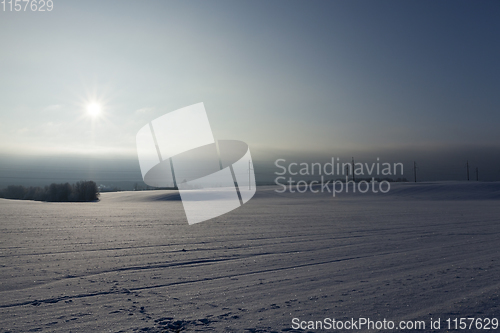 Image of beautiful winter field