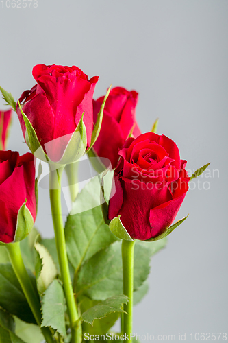 Image of bouquet fresh red roses