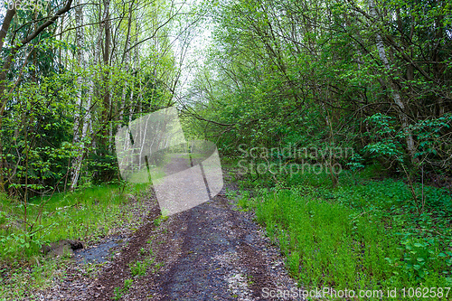 Image of countryside rural forest path