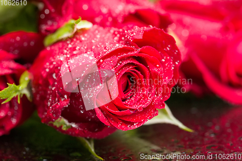 Image of bouquet fresh red roses