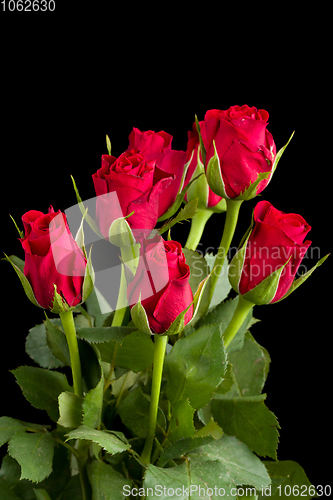 Image of bouquet fresh red roses