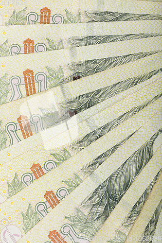 Image of fan from czech banknotes