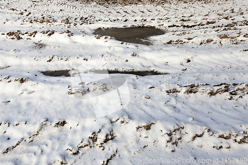 Image of winter close-up photo