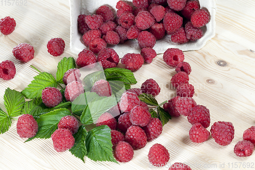 Image of berries ripe raspberries