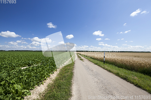 Image of rural road