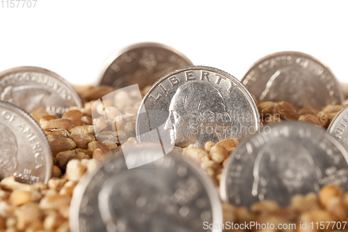 Image of wheat grain