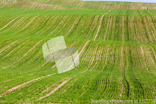 Image of hilly wavy field