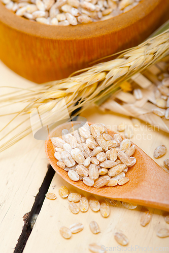 Image of organic barley grains