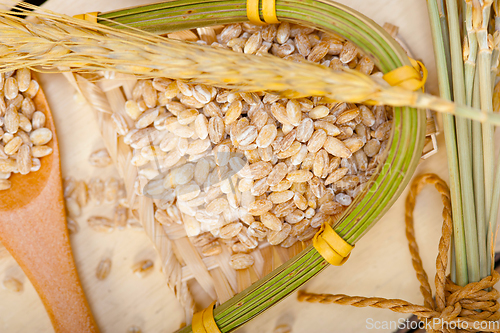 Image of organic barley grains