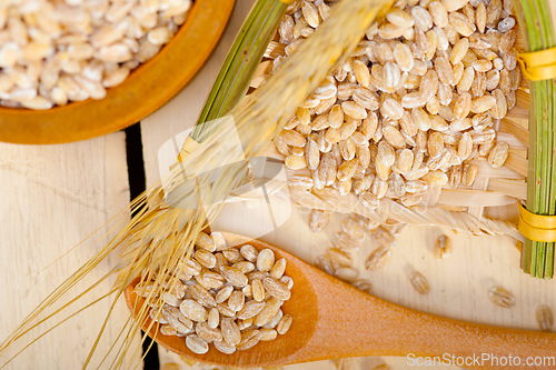 Image of organic barley grains