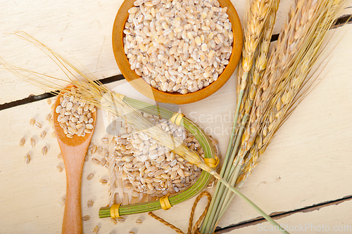 Image of organic barley grains