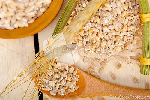 Image of organic wheat grains