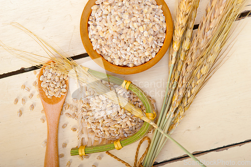 Image of organic wheat grains