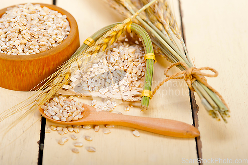 Image of organic wheat grains