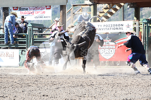 Image of Ty Pozzobon Invitational PBR