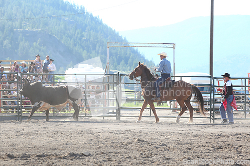 Image of Ty Pozzobon Invitational PBR